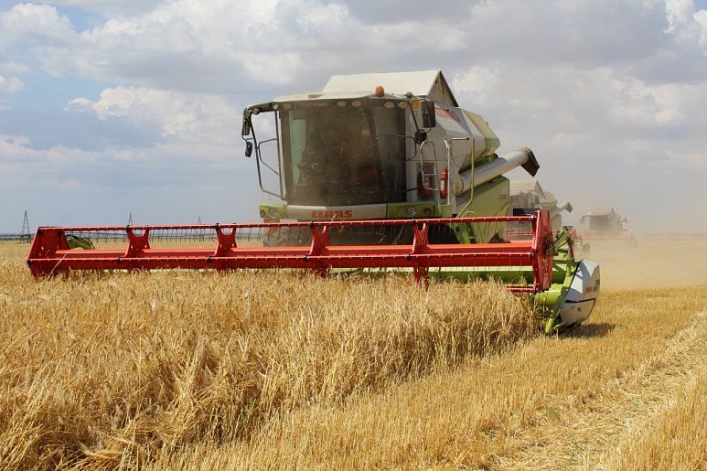 Аграрии Тульской области собрали 2 миллиона тонн зерна